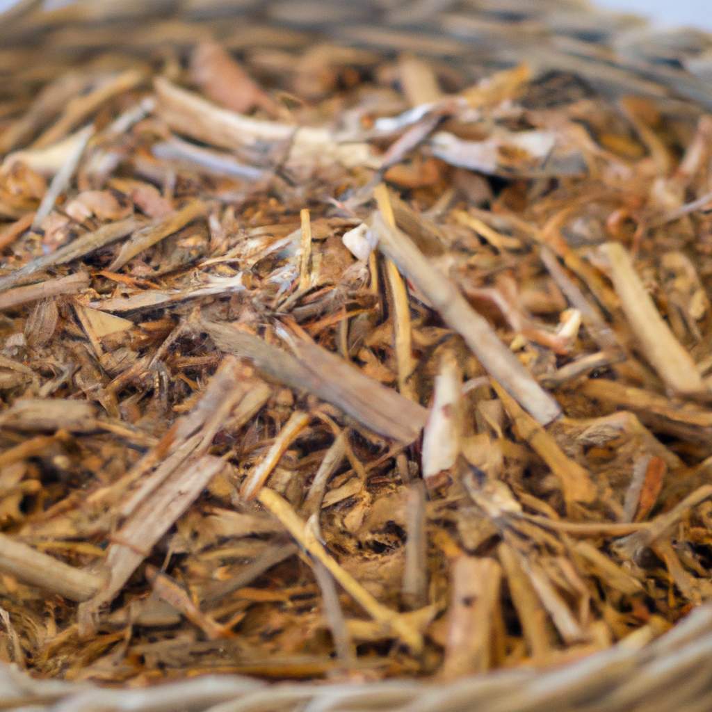 la-flambee-des-prix-de-lelectricite-pousse-les-francais-a-se-tourner-vers-les-granules-de-bois-a-500-e-tonne